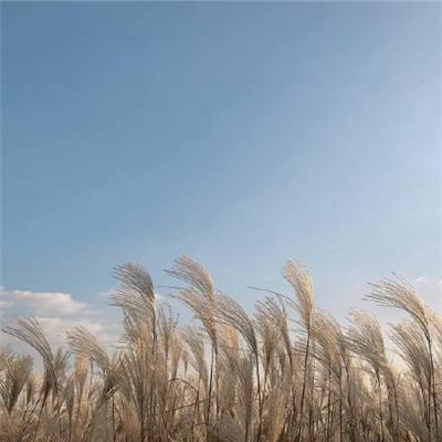 统一股份十大流通股东格局生变：深圳建信投资等新进，李宝卿等退出，袁华增持，新疆融盛投资等减持